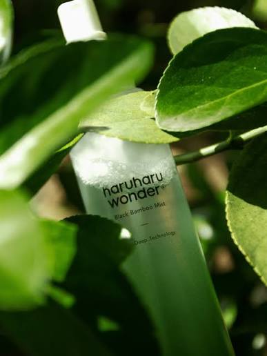 Haruharu Wonder - Brume de bambou noir - 80ml
